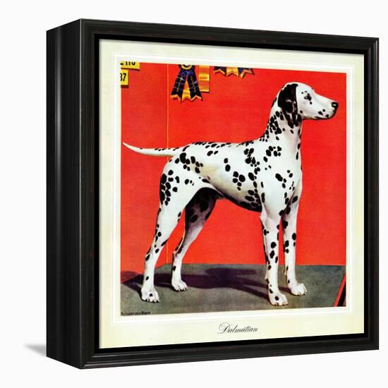 "Dalmatians," July 17, 1943-Rutherford Boyd-Framed Premier Image Canvas