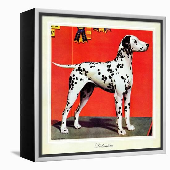 "Dalmatians," July 17, 1943-Rutherford Boyd-Framed Premier Image Canvas