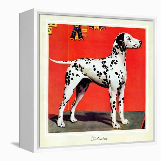 "Dalmatians," July 17, 1943-Rutherford Boyd-Framed Premier Image Canvas