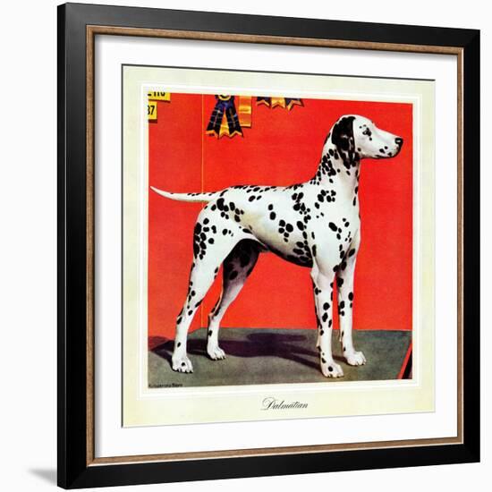 "Dalmatians," July 17, 1943-Rutherford Boyd-Framed Giclee Print