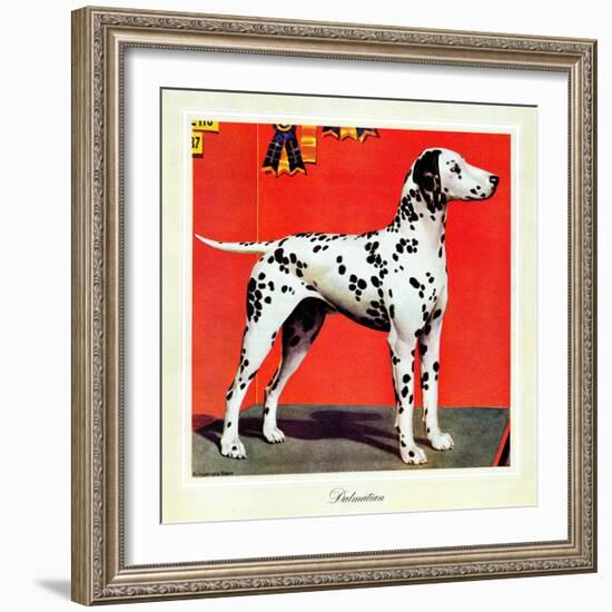 "Dalmatians," July 17, 1943-Rutherford Boyd-Framed Giclee Print