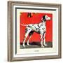 "Dalmatians," July 17, 1943-Rutherford Boyd-Framed Giclee Print