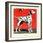 "Dalmatians," July 17, 1943-Rutherford Boyd-Framed Giclee Print