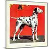 "Dalmatians," July 17, 1943-Rutherford Boyd-Mounted Giclee Print