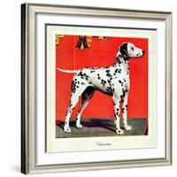 "Dalmatians," July 17, 1943-Rutherford Boyd-Framed Giclee Print
