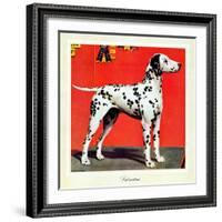 "Dalmatians," July 17, 1943-Rutherford Boyd-Framed Giclee Print