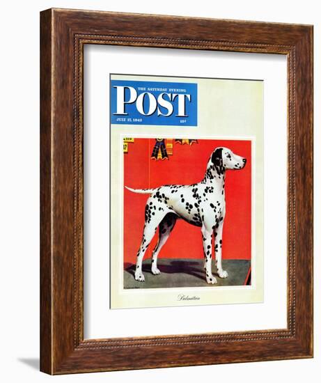 "Dalmatians," Saturday Evening Post Cover, July 17, 1943-Rutherford Boyd-Framed Giclee Print