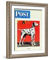 "Dalmatians," Saturday Evening Post Cover, July 17, 1943-Rutherford Boyd-Framed Giclee Print