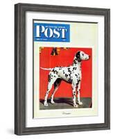 "Dalmatians," Saturday Evening Post Cover, July 17, 1943-Rutherford Boyd-Framed Giclee Print