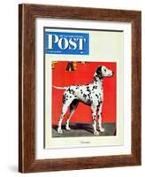 "Dalmatians," Saturday Evening Post Cover, July 17, 1943-Rutherford Boyd-Framed Giclee Print