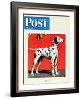 "Dalmatians," Saturday Evening Post Cover, July 17, 1943-Rutherford Boyd-Framed Giclee Print