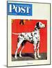 "Dalmatians," Saturday Evening Post Cover, July 17, 1943-Rutherford Boyd-Mounted Giclee Print