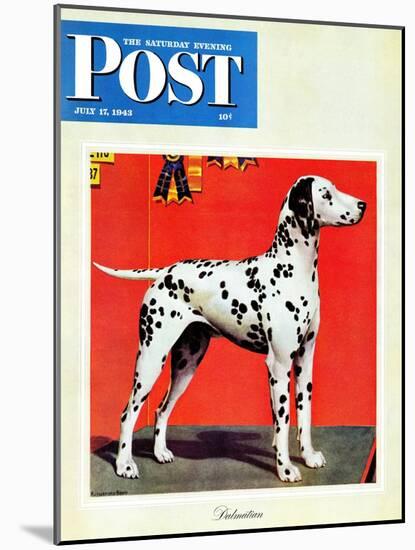 "Dalmatians," Saturday Evening Post Cover, July 17, 1943-Rutherford Boyd-Mounted Giclee Print