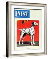 "Dalmatians," Saturday Evening Post Cover, July 17, 1943-Rutherford Boyd-Framed Giclee Print