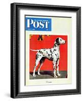 "Dalmatians," Saturday Evening Post Cover, July 17, 1943-Rutherford Boyd-Framed Giclee Print