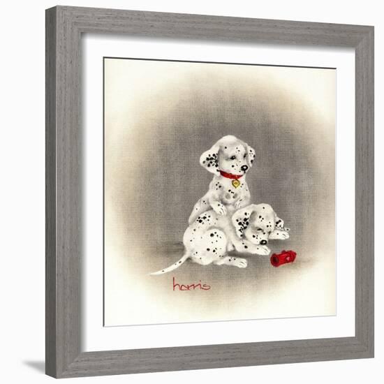 Dalmation 2 - Curiosity-Peggy Harris-Framed Giclee Print