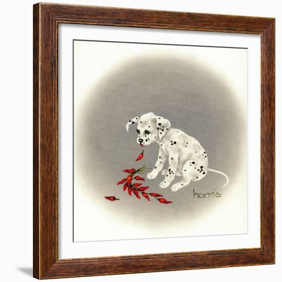 Dalmation 5 - Chile Dog-Peggy Harris-Framed Giclee Print