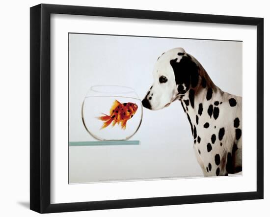 Dalmation Dog Looking at Dalmation Fish-Michel Tcherevkoff-Framed Art Print