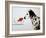 Dalmation Dog Looking at Dalmation Fish-Michel Tcherevkoff-Framed Art Print