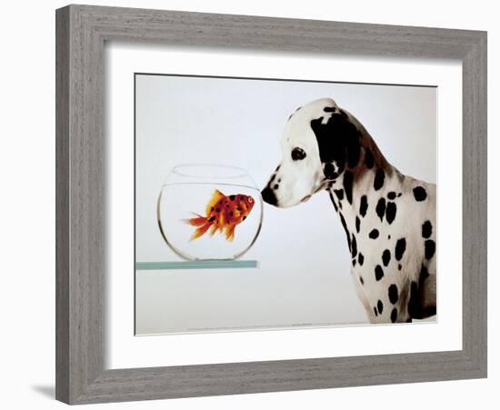 Dalmation Dog Looking at Dalmation Fish-Michel Tcherevkoff-Framed Art Print