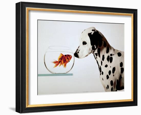 Dalmation Dog Looking at Dalmation Fish-Michel Tcherevkoff-Framed Art Print