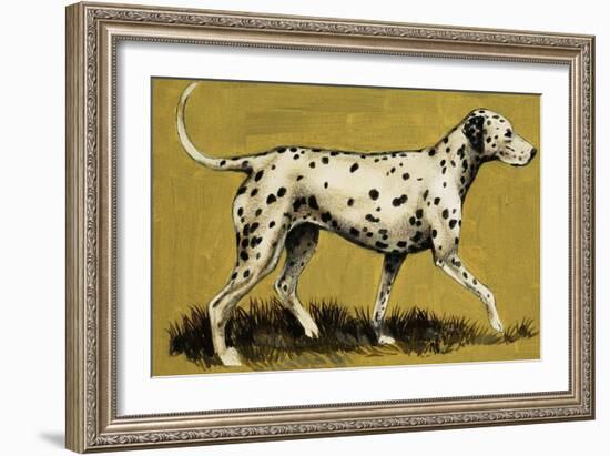 Dalmation Dog-English School-Framed Giclee Print