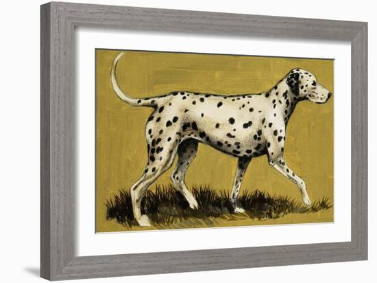 Dalmation Dog-English School-Framed Giclee Print