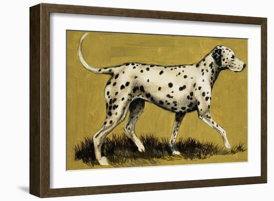 Dalmation Dog-English School-Framed Giclee Print