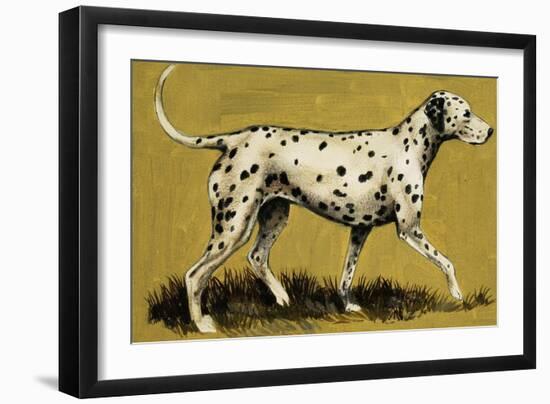 Dalmation Dog-English School-Framed Giclee Print