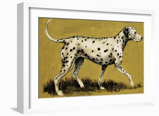 Dalmation Dog-English School-Framed Giclee Print