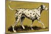 Dalmation Dog-English School-Mounted Giclee Print