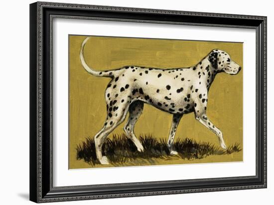 Dalmation Dog-English School-Framed Giclee Print