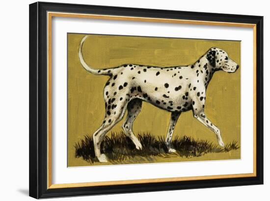 Dalmation Dog-English School-Framed Giclee Print