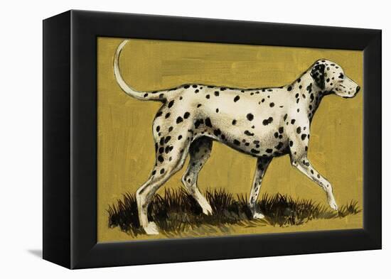 Dalmation Dog-English School-Framed Premier Image Canvas