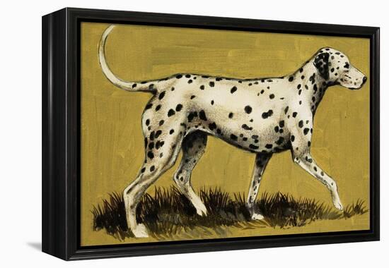 Dalmation Dog-English School-Framed Premier Image Canvas