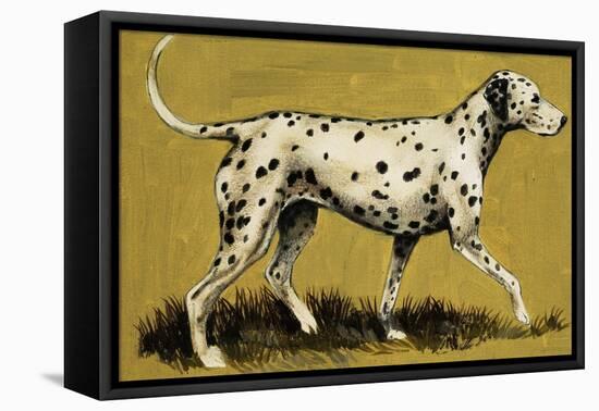 Dalmation Dog-English School-Framed Premier Image Canvas