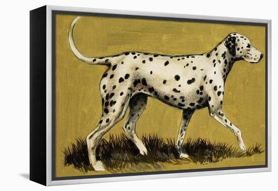 Dalmation Dog-English School-Framed Premier Image Canvas