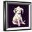 Dalmation Puppy, 1950s-George Adamson-Framed Premium Giclee Print
