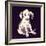 Dalmation Puppy, 1950s-George Adamson-Framed Giclee Print