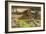 Dalton Collecting Marsh Fire Gas, 1879-93-Ford Madox Brown-Framed Giclee Print