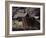 Dalton, Colorado, USA-null-Framed Photographic Print