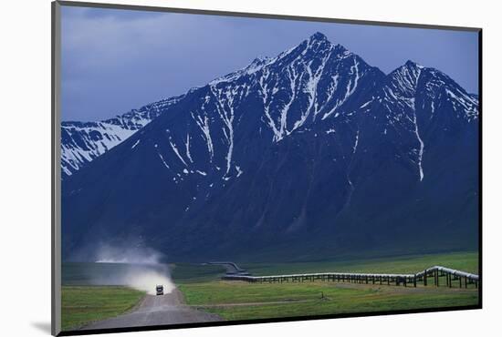 Photographic Print, , large