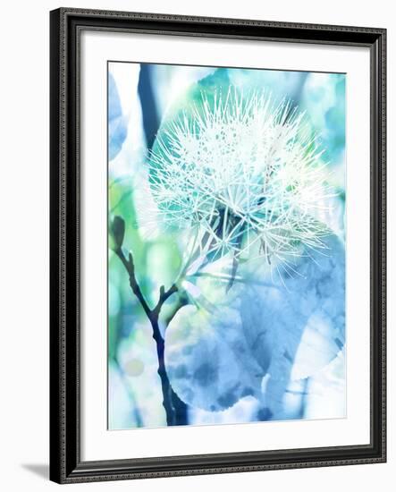 Dalvik-Tania Bello-Framed Giclee Print