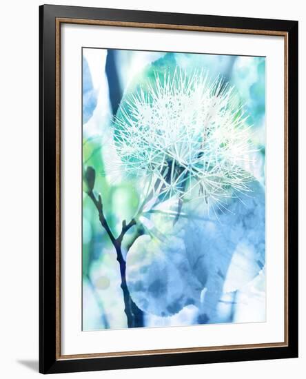 Dalvik-Tania Bello-Framed Giclee Print