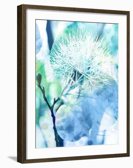 Dalvik-Tania Bello-Framed Giclee Print