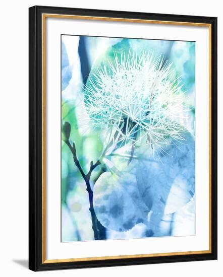 Dalvik-Tania Bello-Framed Giclee Print