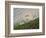 Dam Sheep Rams, Denali Park Road, Alaska, USA-Hugh Rose-Framed Photographic Print