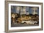 Damage Caused to House-John Cancalosi-Framed Photographic Print