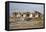 Damage Caused to Houses by Hurricane Katrina-John Cancalosi-Framed Premier Image Canvas