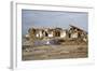 Damage Caused to Houses by Hurricane Katrina-John Cancalosi-Framed Photographic Print